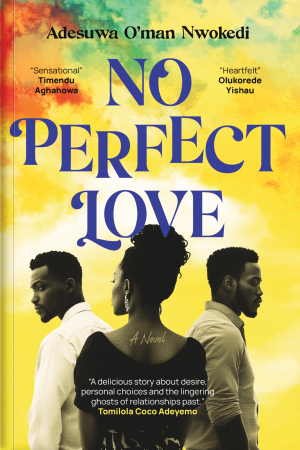 No Perfect Love